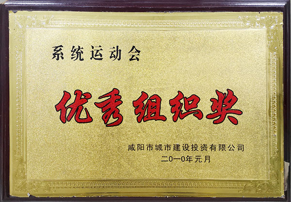 城投系统运动会优秀组织奖