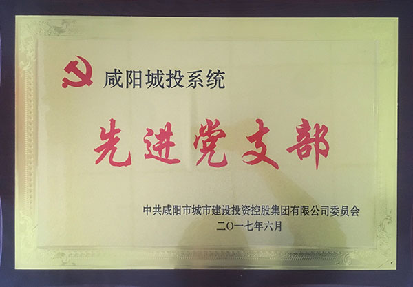 先进党支部